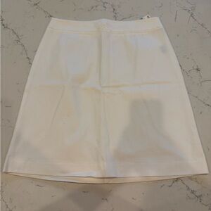 Chic Mini Skirt